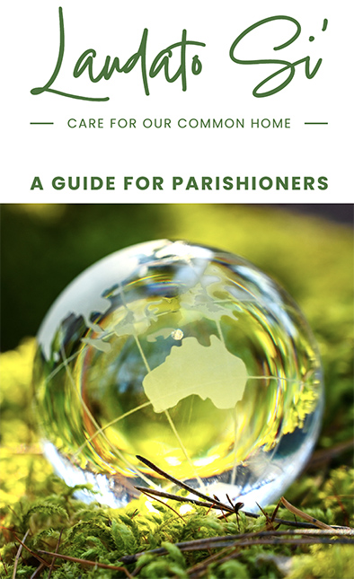 Laudato Si' brochure cover sm.jpg